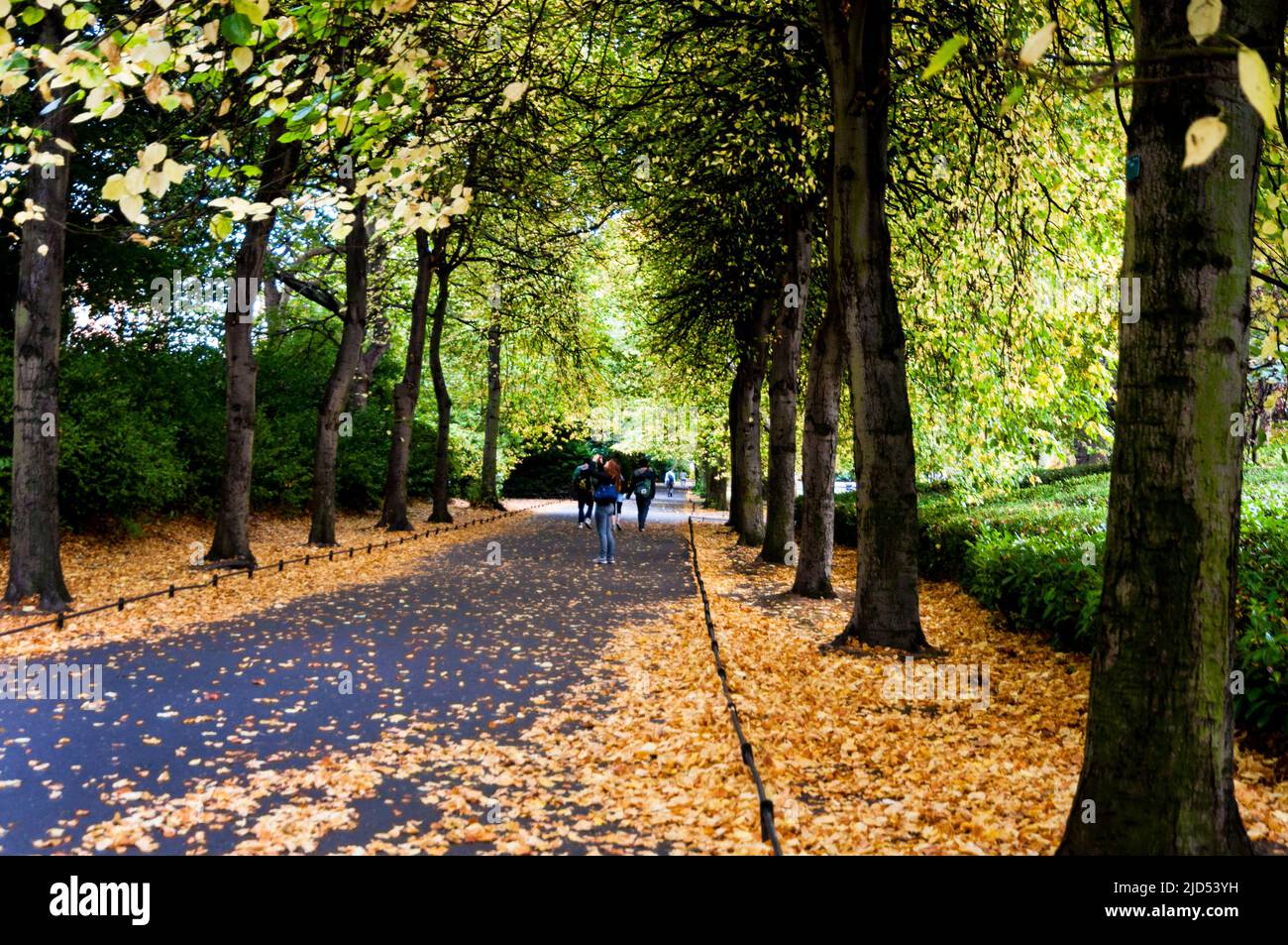 Beaux Walk a St Parco pubblico Stephen's Green a Dublino, Irlanda. Foto Stock