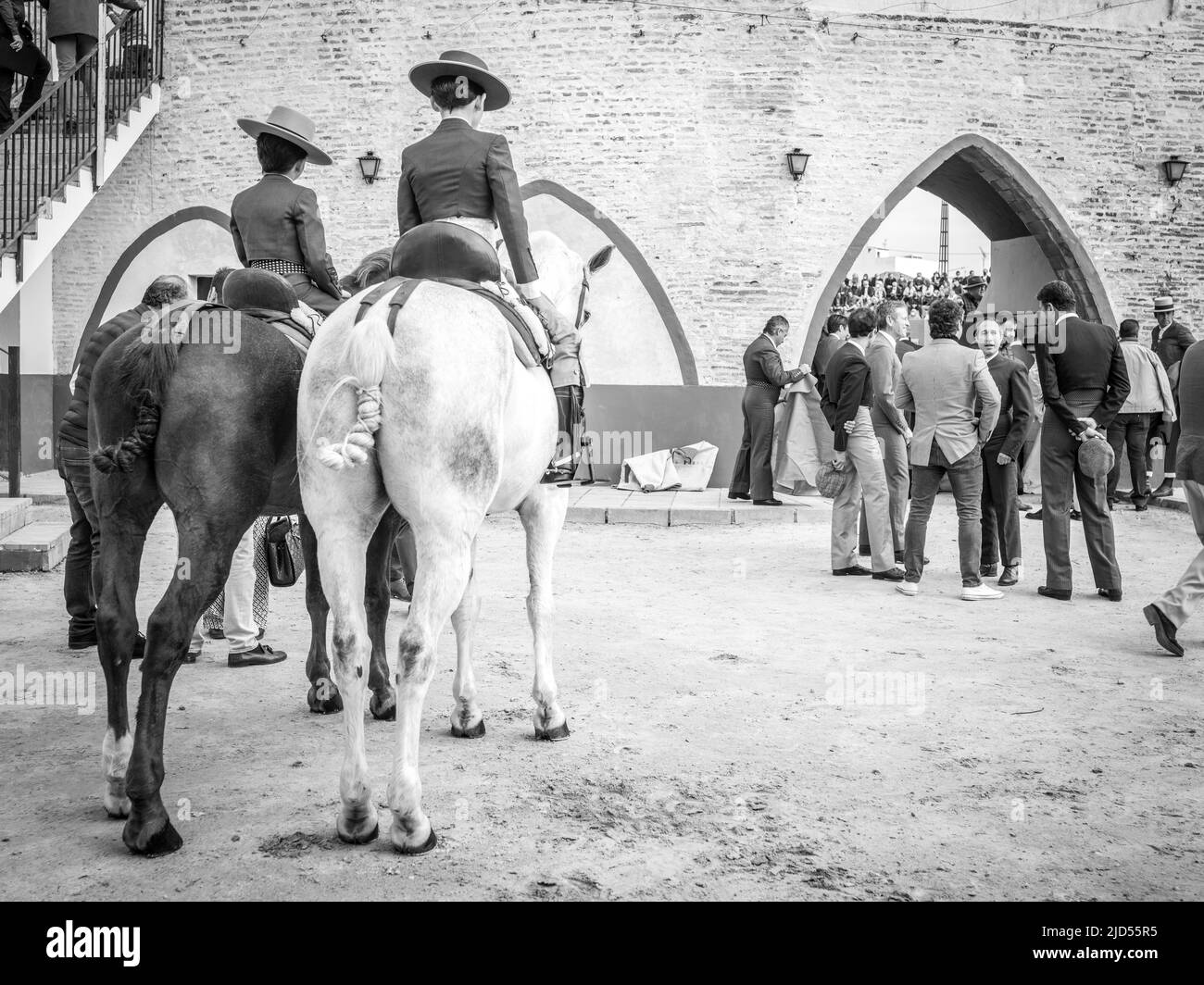 Corrida a Cantilana, Spagna Foto Stock