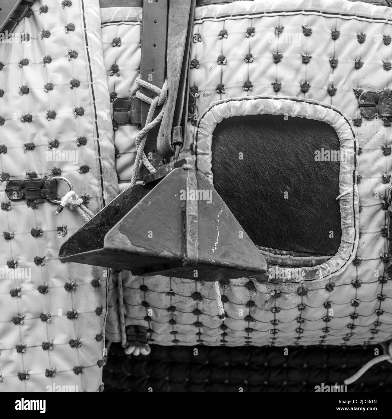 Corrida a Cantilana, Spagna Foto Stock