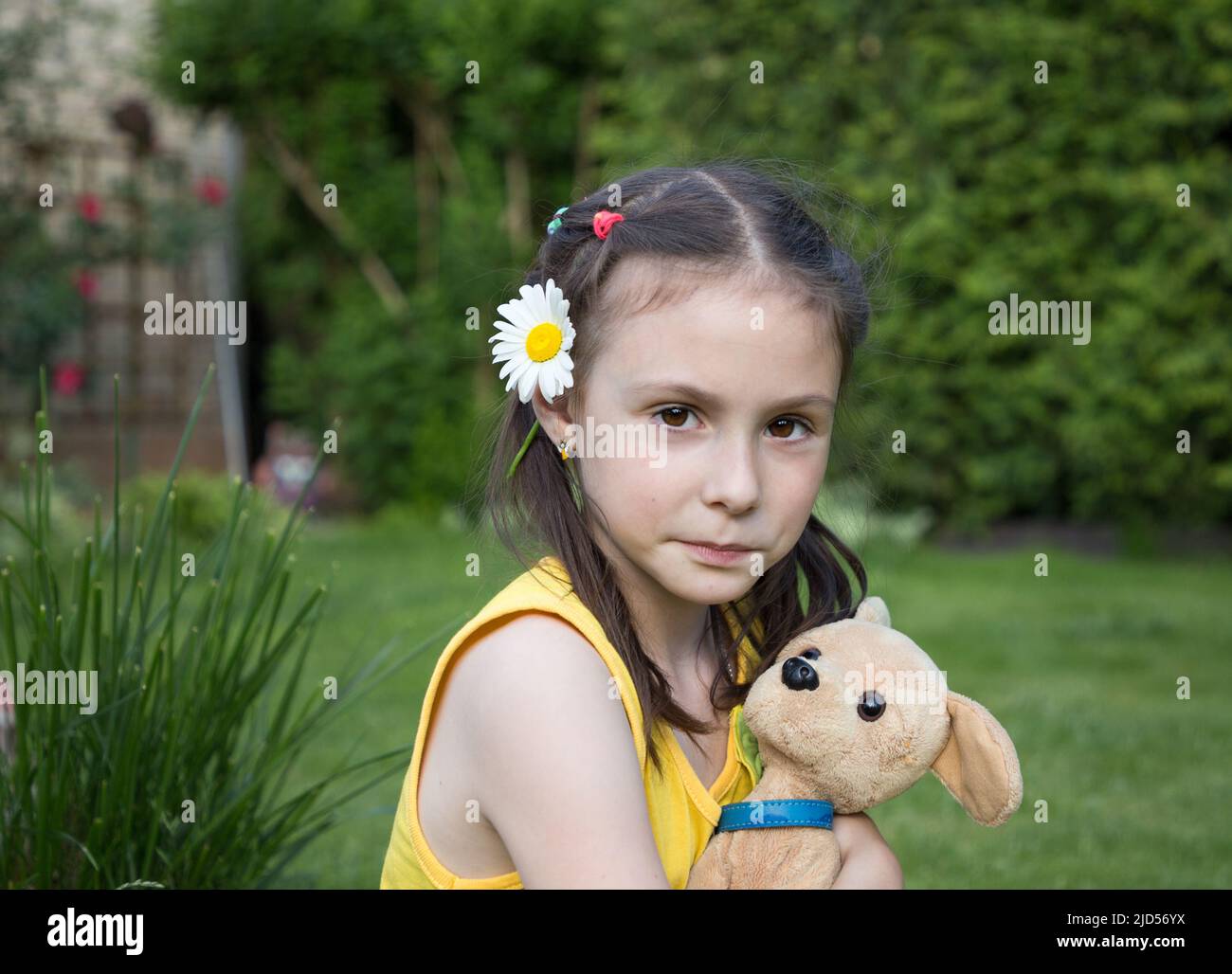 faccia di una ragazza di 6-7 anni con un giocattolo preferito di un cane peluche e un camomilla dietro l'orecchio, sembra carino nella cornice. infanzia, passatempo estate Foto Stock