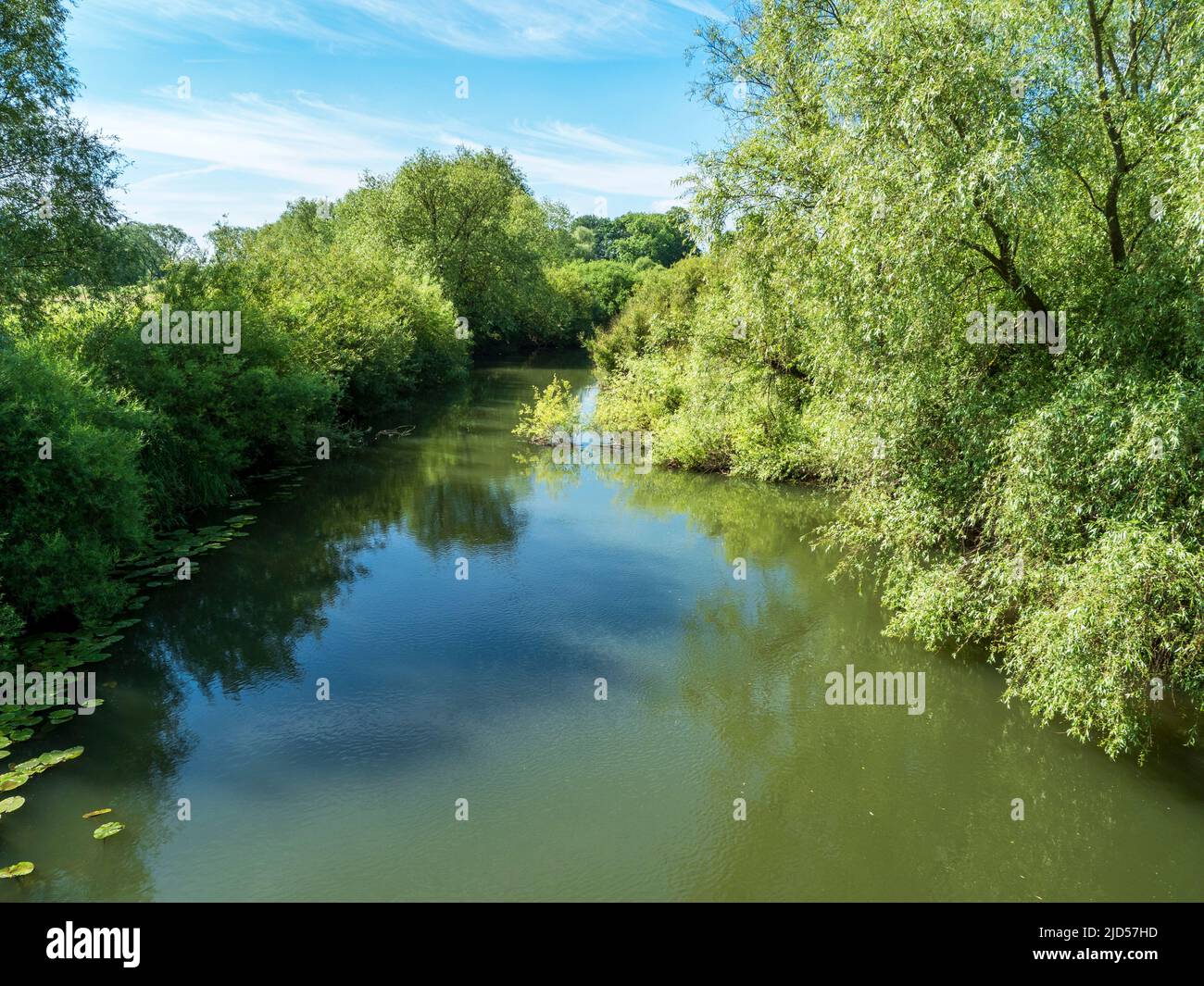 River Derwent a Wheldrake Ings, North Yorkshire, Inghilterra Foto Stock