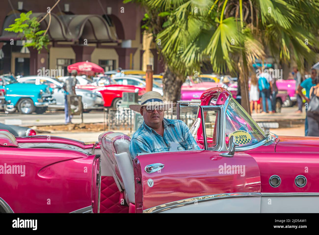Un tassista seduto nella sua auto d'epoca rosa al Parque Central a l'Avana, Cuba Foto Stock