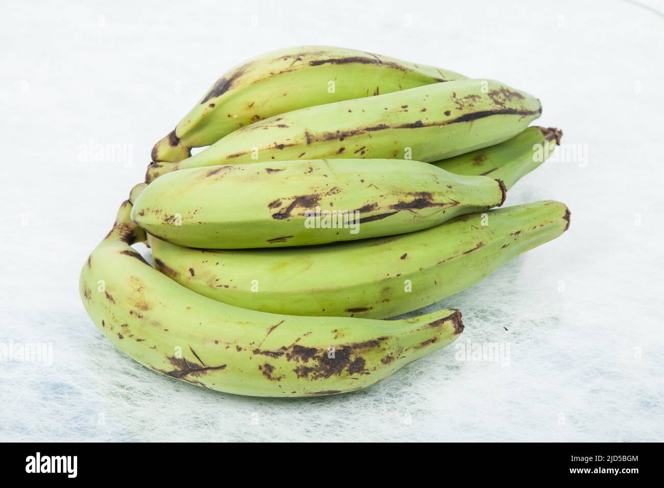 Green Plantain - Superfood; foto su sfondo neutro. Foto Stock