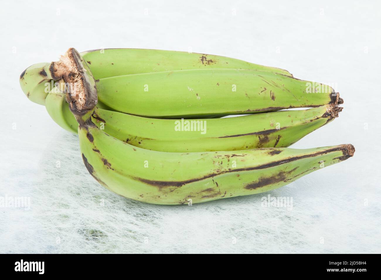 Green Plantain - Superfood; foto su sfondo neutro. Foto Stock