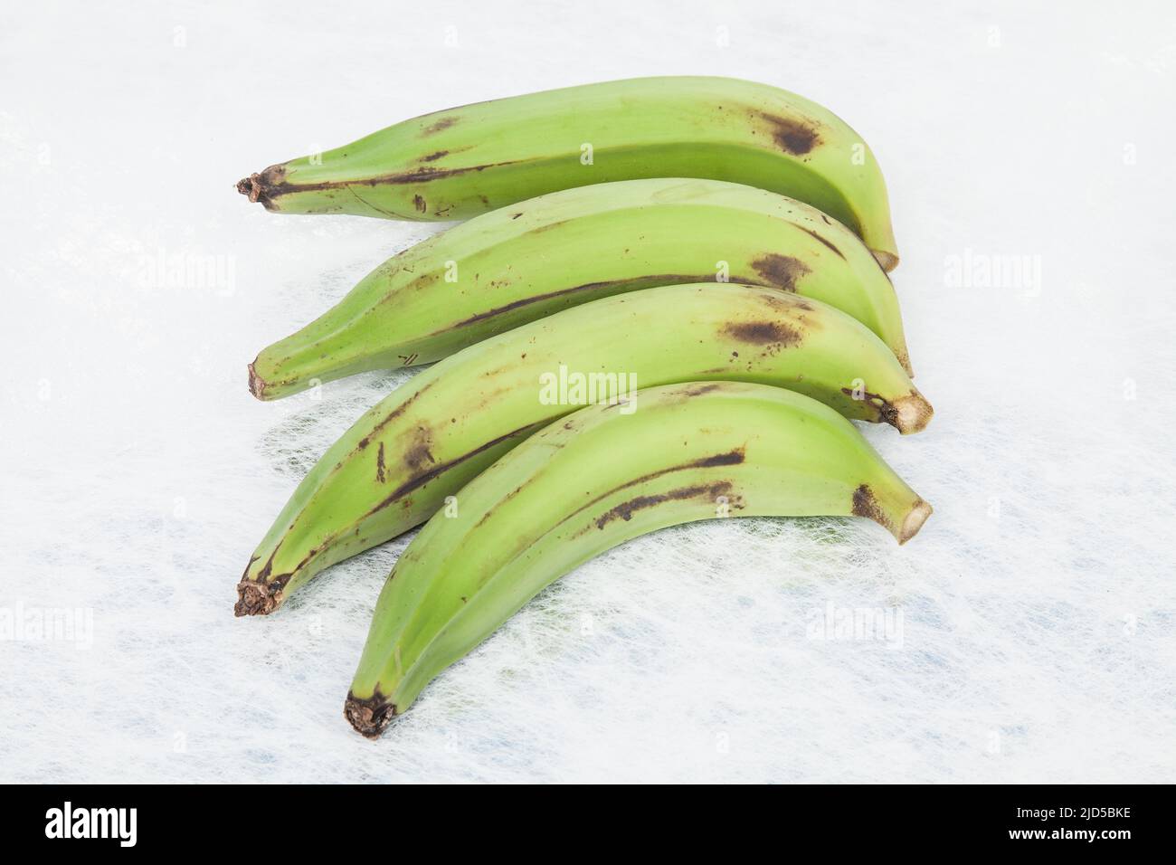 Green Plantain - Superfood; foto su sfondo neutro. Foto Stock