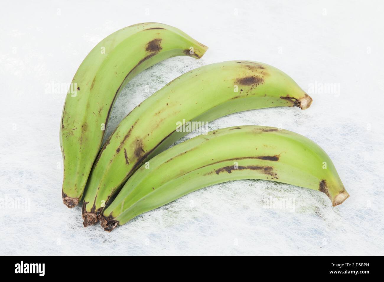 Green Plantain - Superfood; foto su sfondo neutro. Foto Stock
