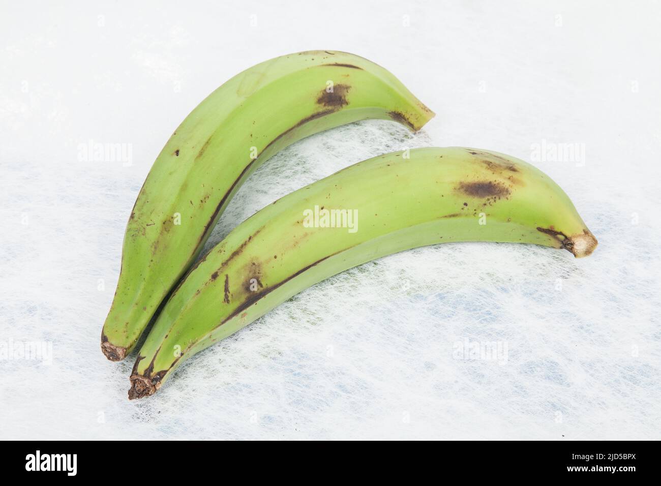 Green Plantain - Superfood; foto su sfondo neutro. Foto Stock