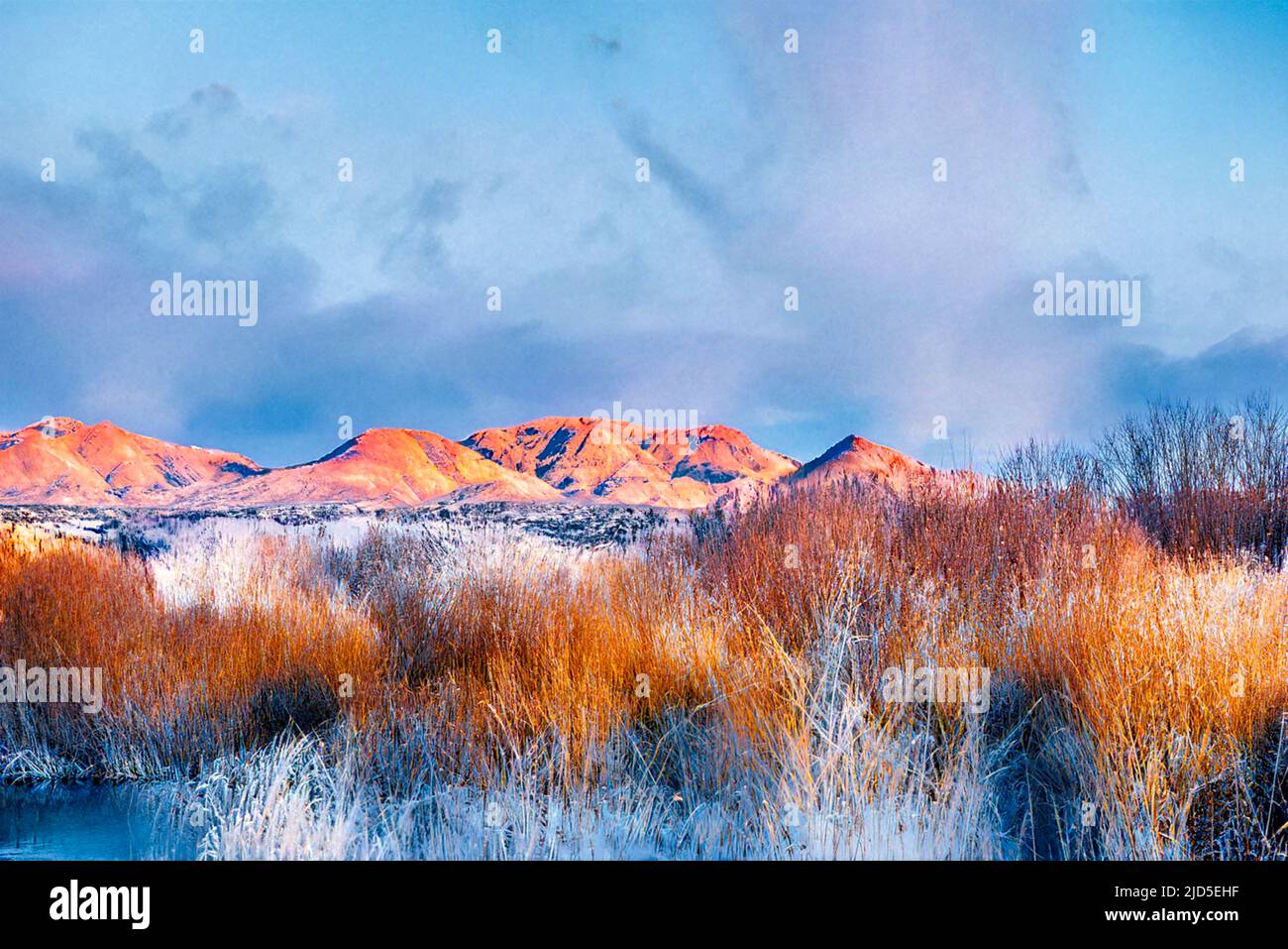 Paesaggi digitali da Bosque del Apache, New Mexico Foto Stock