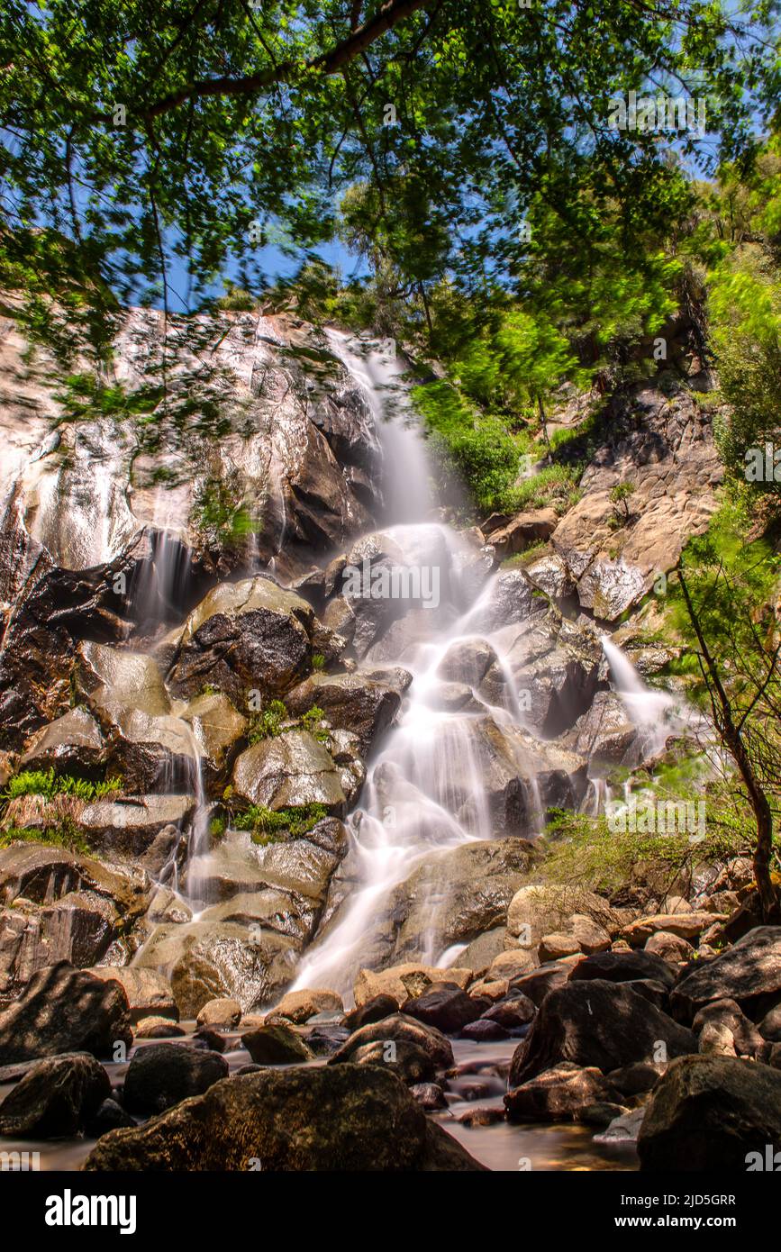 Sequoia National Park, California Foto Stock