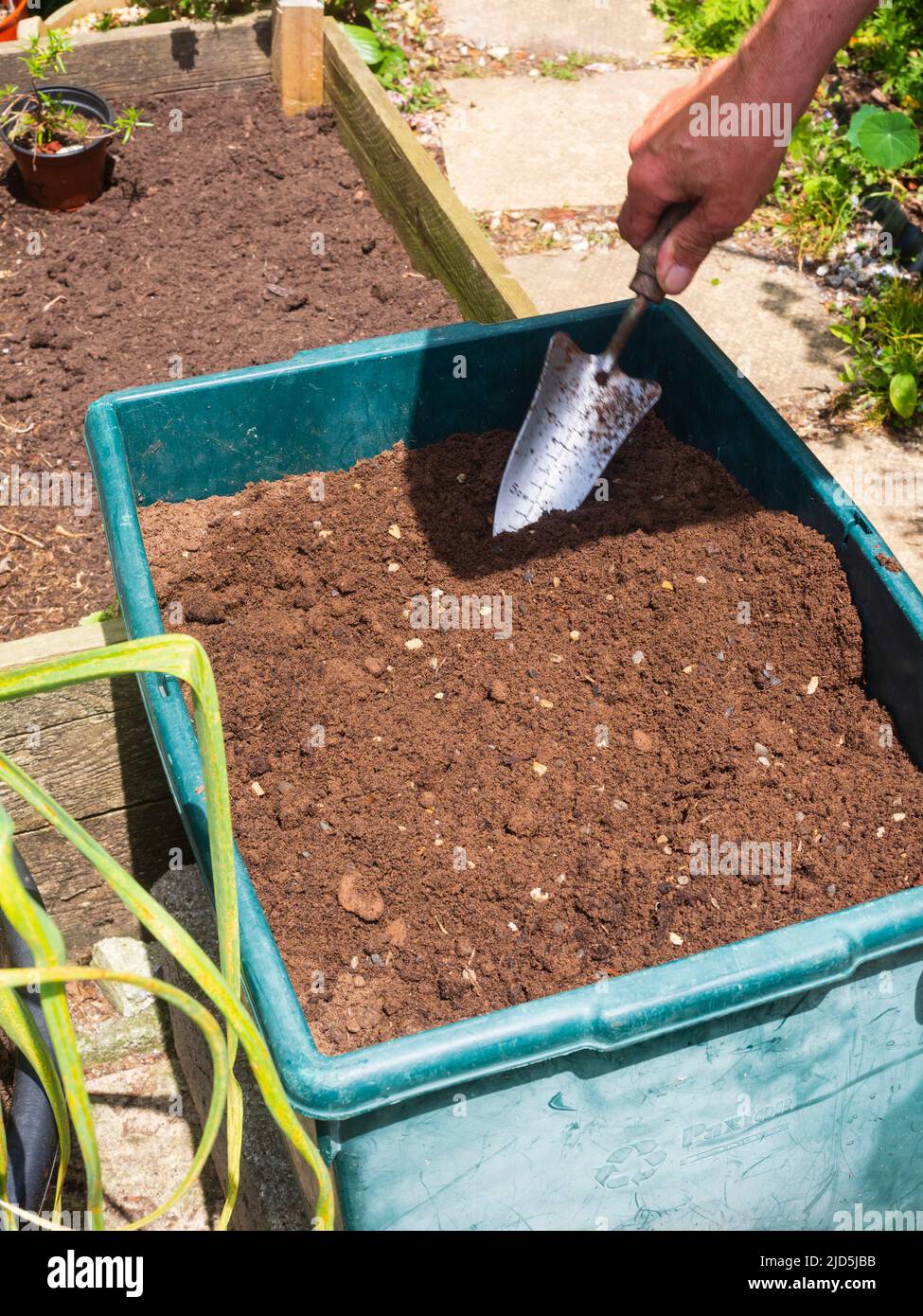 Preparare una miscela gritty di suolo per un piccolo letto di erbe di contenitore Foto Stock