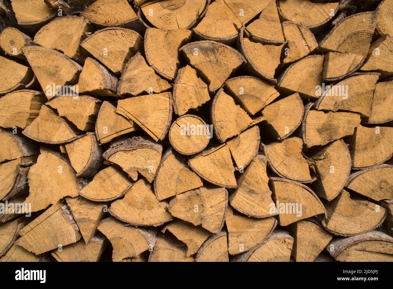 Sfondo con pezzi impilati di legno. Tronchi gialli dominanti secchi, combustibile naturale per riscaldamento, legna da ardere. Pezzi di pino e abete da bruciare. Foto Stock
