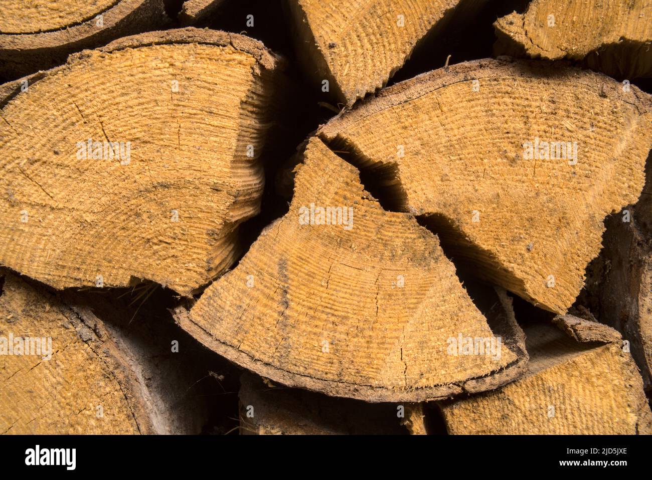 Sfondo con pezzi impilati di legno. Tronchi gialli dominanti secchi, combustibile naturale per riscaldamento, legna da ardere. Pezzi di pino e abete da bruciare. Foto Stock