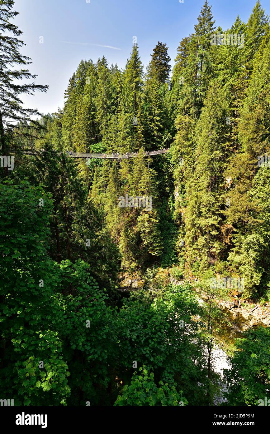 VANCOUVER, BRITISH COLUMBIA, CANADA, 31 MAGGIO 2019: Visitatori che esplorano il parco Capilano Suspension Bridge a North Vancouver, Capilano Suspension Brid Foto Stock