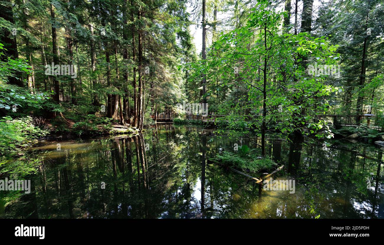 VANCOUVER, BRITISH COLUMBIA, CANADA, 31 MAGGIO 2019: Piccolo lago nel River Regional Park a North Vancouver, Capilano è famosa per Suspension Bridge Foto Stock