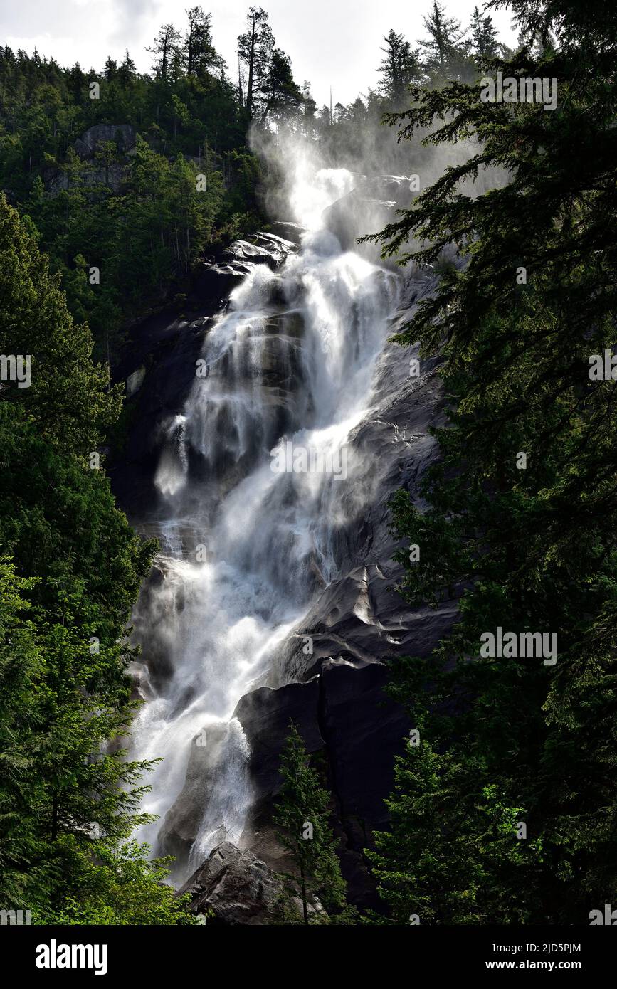 Shannon Falls vicino a Squamish, British Columbia, Canada Foto Stock