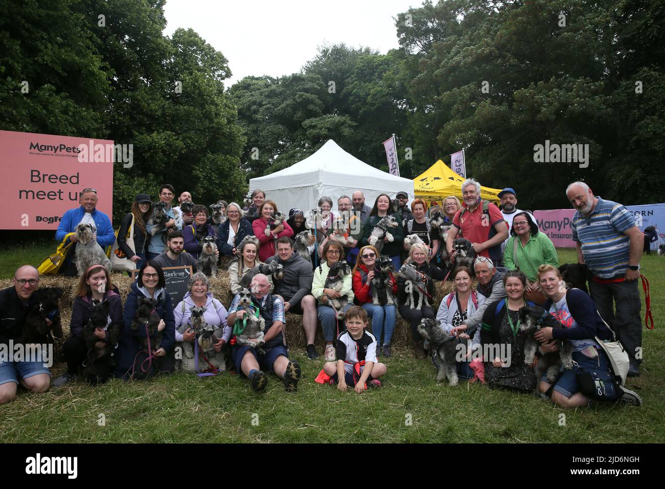 Knutsford, Regno Unito. 18th giugno 2022. Dog Fest si svolge a Cheshire con attività per cani e loro proprietari, Knutsford, Regno Unito. Credit: Barbara Cook/Alamy Live News Foto Stock