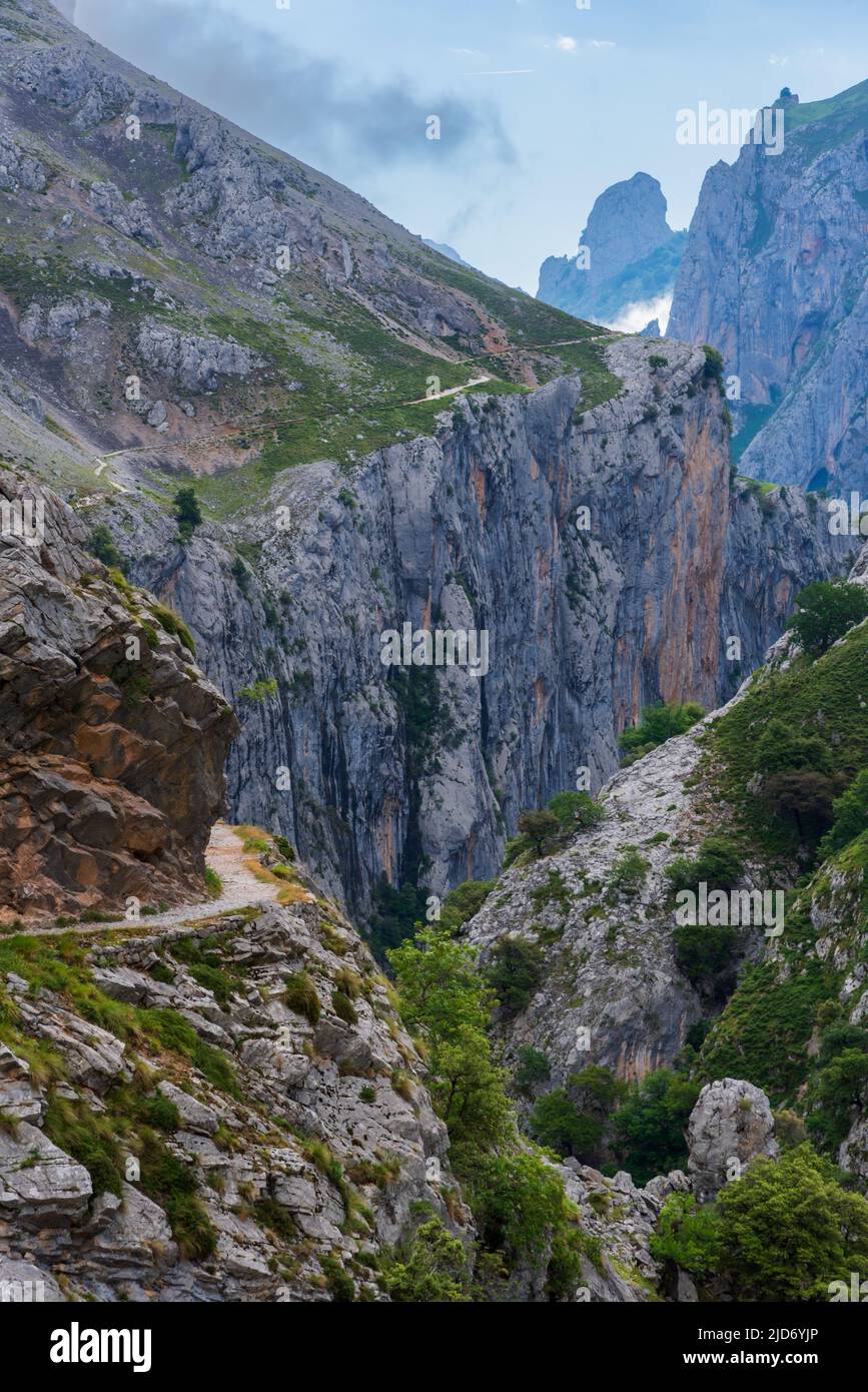 Senda del rio Cares, vicino all'inizio del percorso a Poncebos, Picos de Europa. Foto Stock