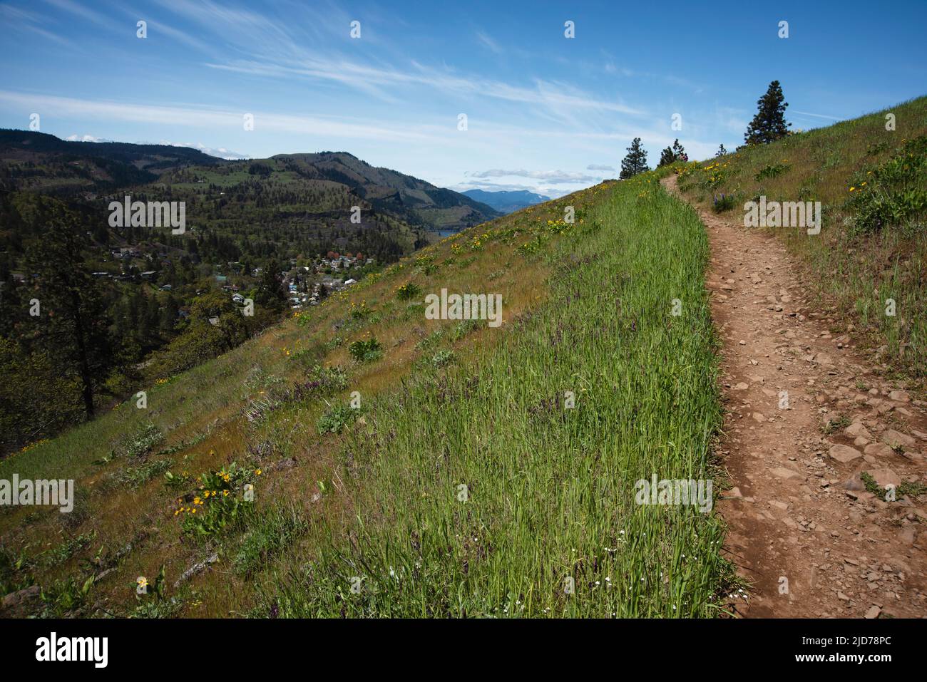 Questo sentiero conduce all'altopiano Mosier, che si trova in alto su una scogliera a Mosier, Oregon. L'immagine è stata takein in Springtime. Foto Stock