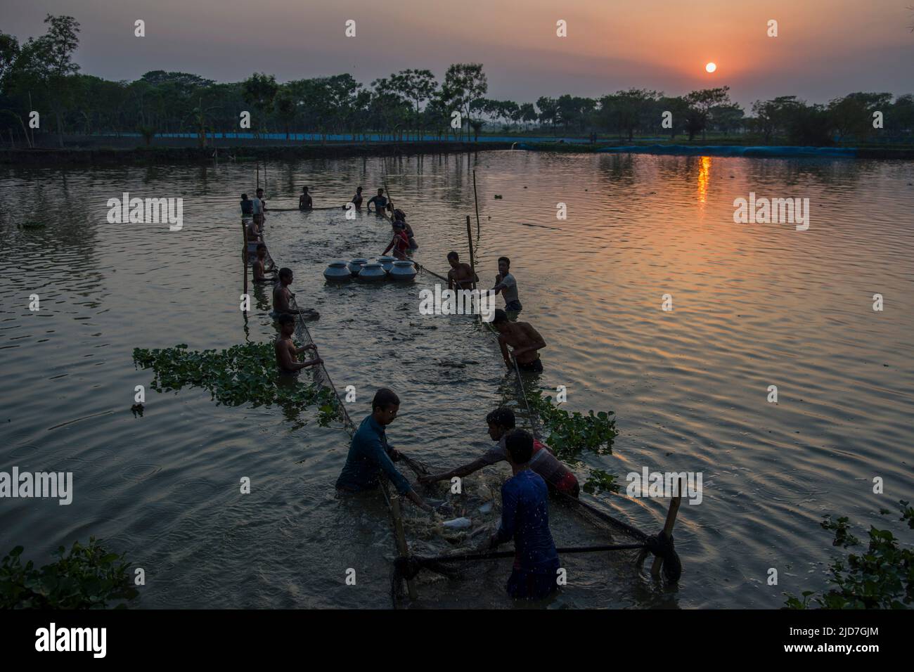 I pescatori pescano in uno stagno nel distretto di Satkhira del Bangladesh meridionale. Il pesce è la principale coltivazione di denaro a questi agricoltori e la principale fonte di nuttrizione Foto Stock