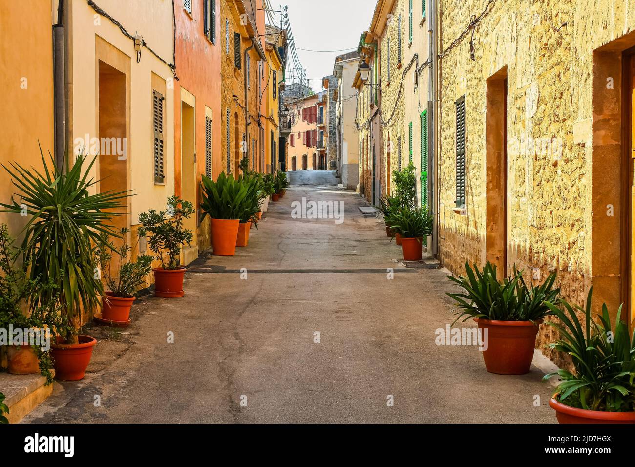 Vicolo stretto con case fiancheggiate e piante verdi in un villaggio di Maiorca. Foto Stock