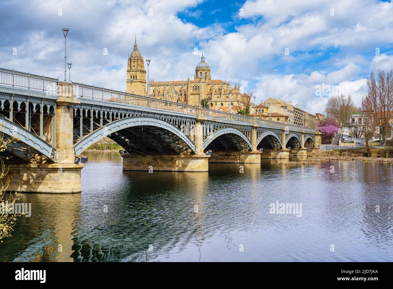 Vista monumentale della città di Salamanca con il ponte di ferro sul fiume Tormes. Foto Stock