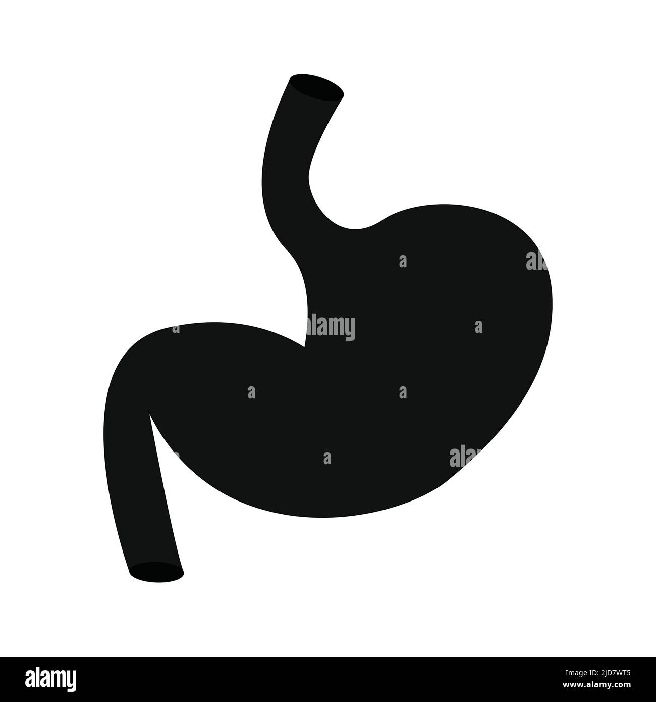 Icona dello stomaco umano. Organo interno, anatomia. Immagine di icone di cartoni animati vettoriali isolati su sfondo bianco. Sulla scienza e la medicina. Illustrazione Vettoriale