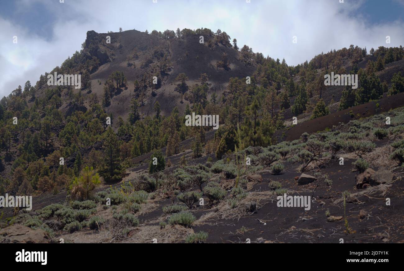 La Palma, paesaggi lungo il famoso percorso escursionistico Ruta de Los Volcanes, lungo la cresta dell'isola da El Paso a Fuencaliente Foto Stock