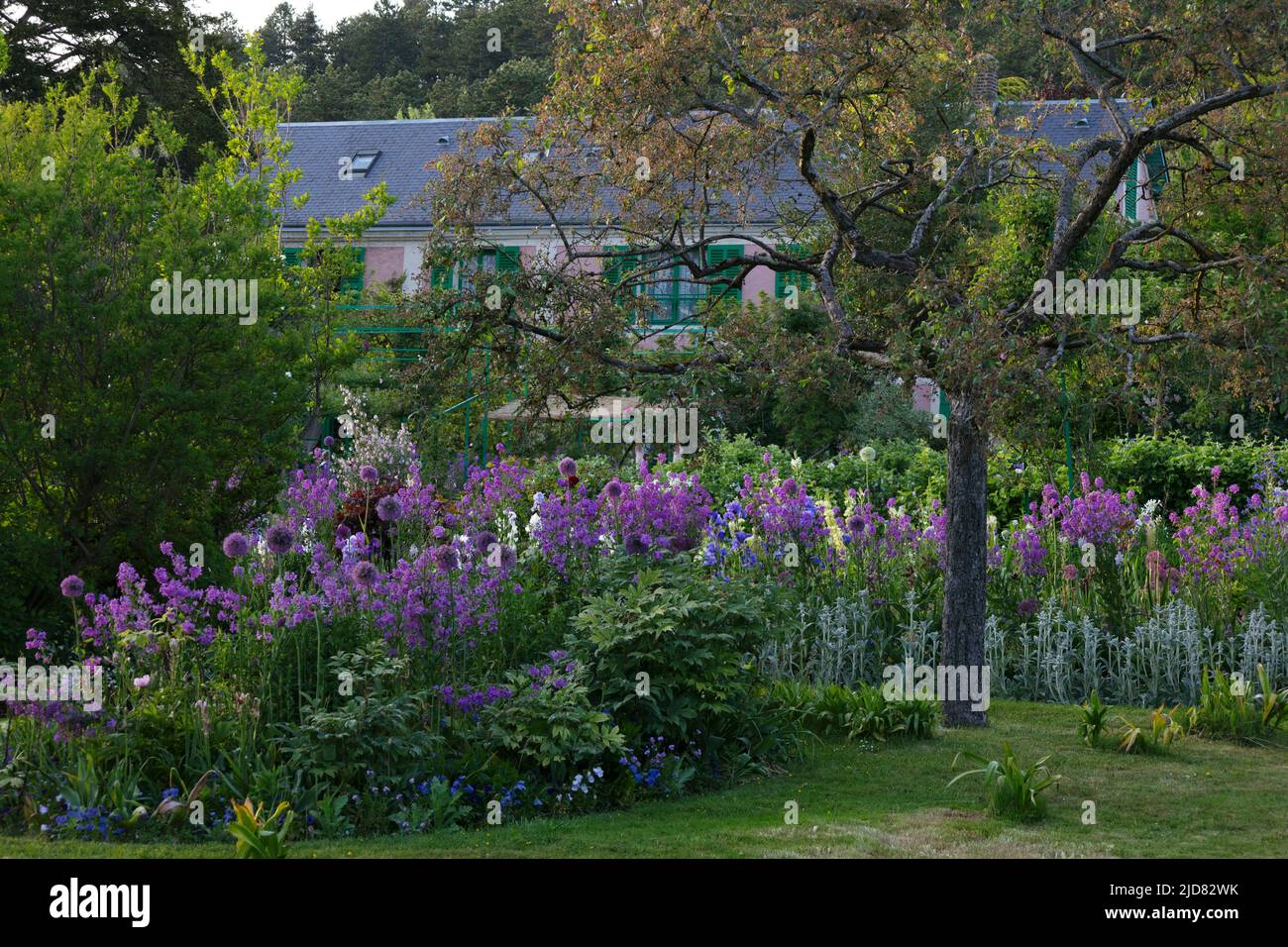 Giardino di Monet a Giverny, Eure, Normandia, Francia Foto Stock
