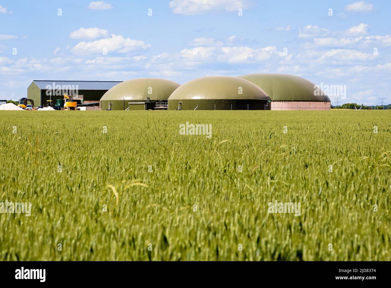 Vista generale di una pianta di biogas con tre digestivi in un campo di grano verde nella campagna sotto un cielo blu con nuvole bianche. Foto Stock