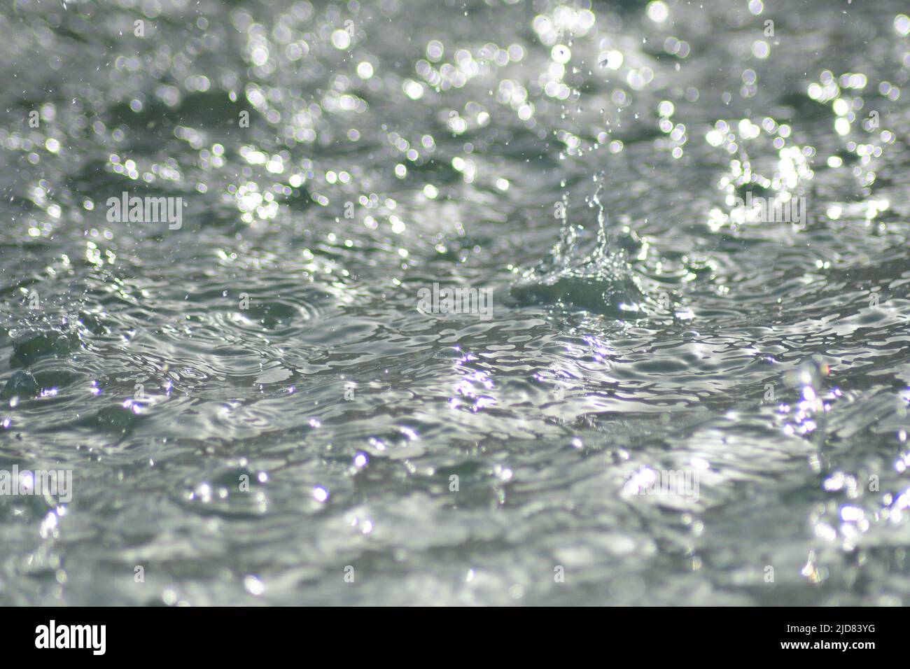 Gocce d'acqua che cadono in una pozzanghera Foto Stock
