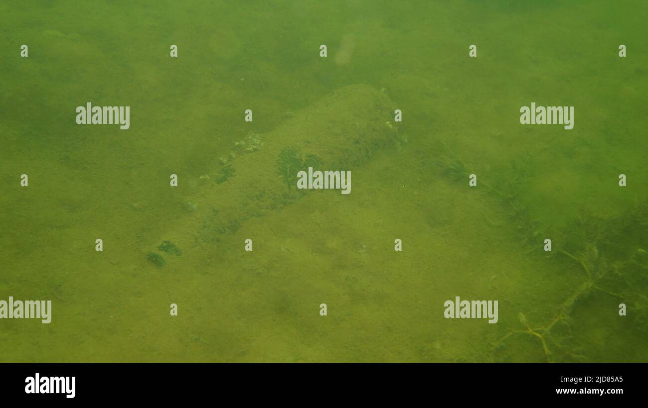 Bottiglia sul fondo Foto Stock