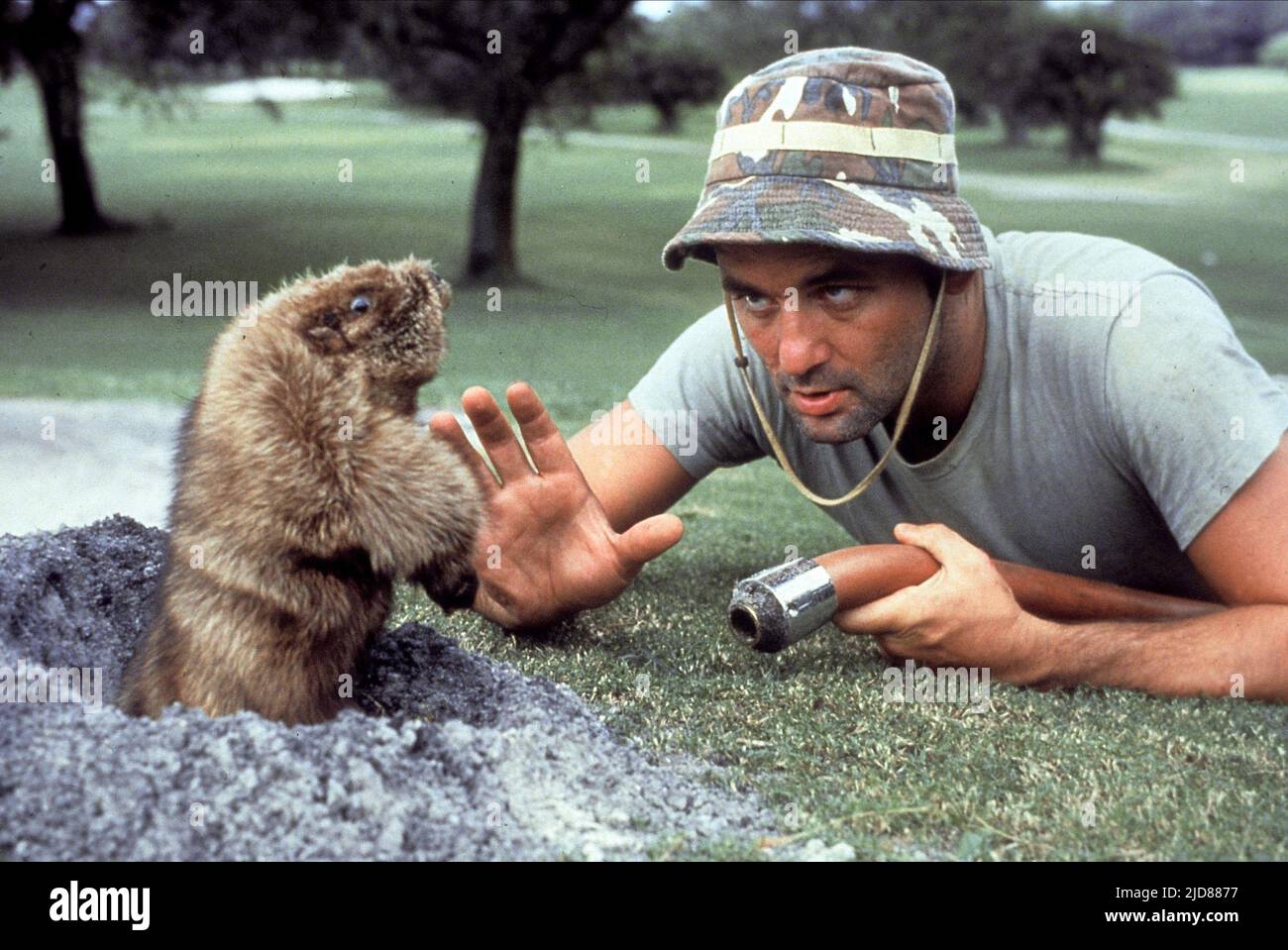 MURRAY, GOPHER, CADDDYSHACK, 1980, Foto Stock