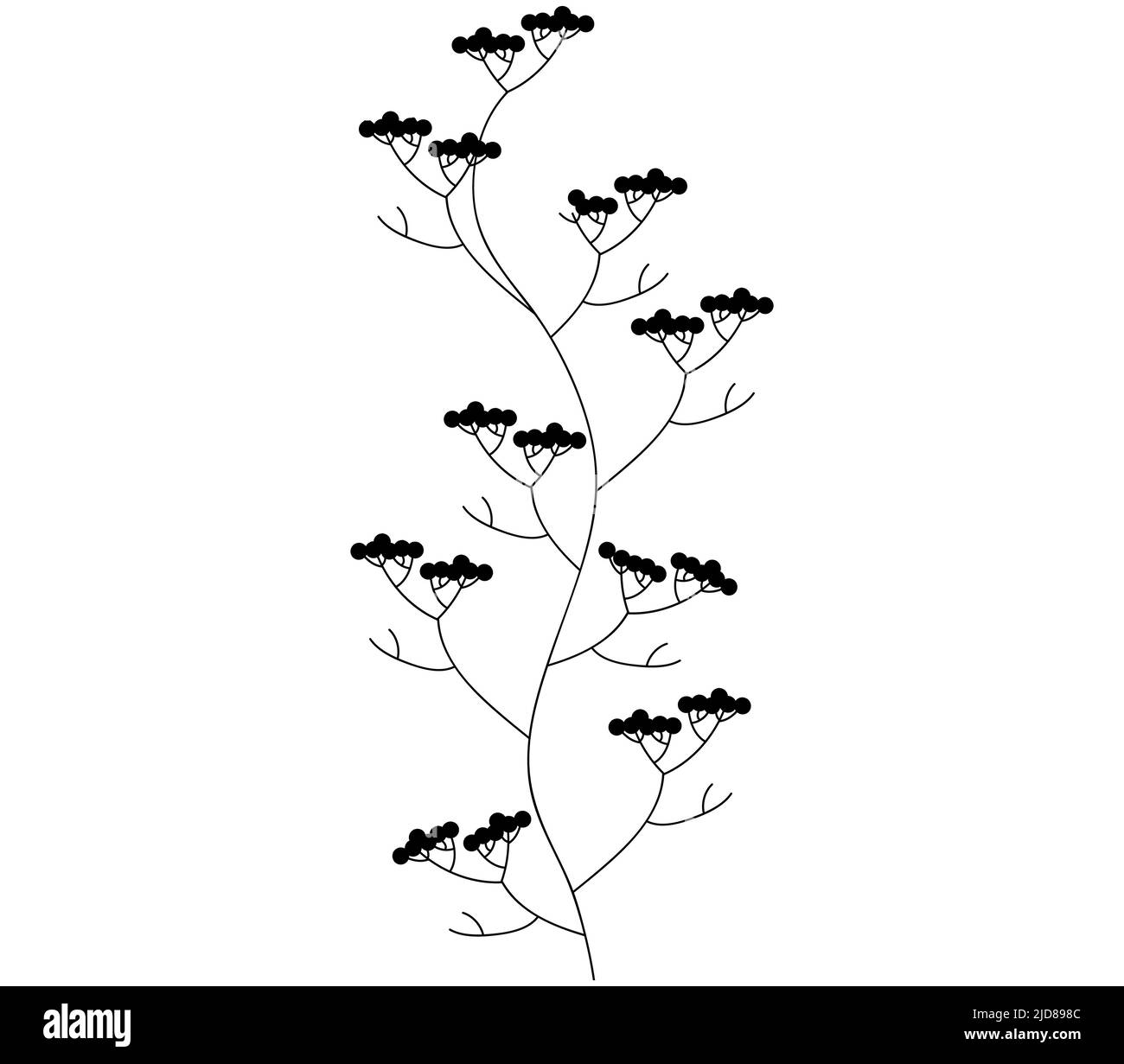 Illustrazione botanica vettoriale. Bianco e nero, Blooming. Primavera Fiori e ramoscello Illustrazione Vettoriale