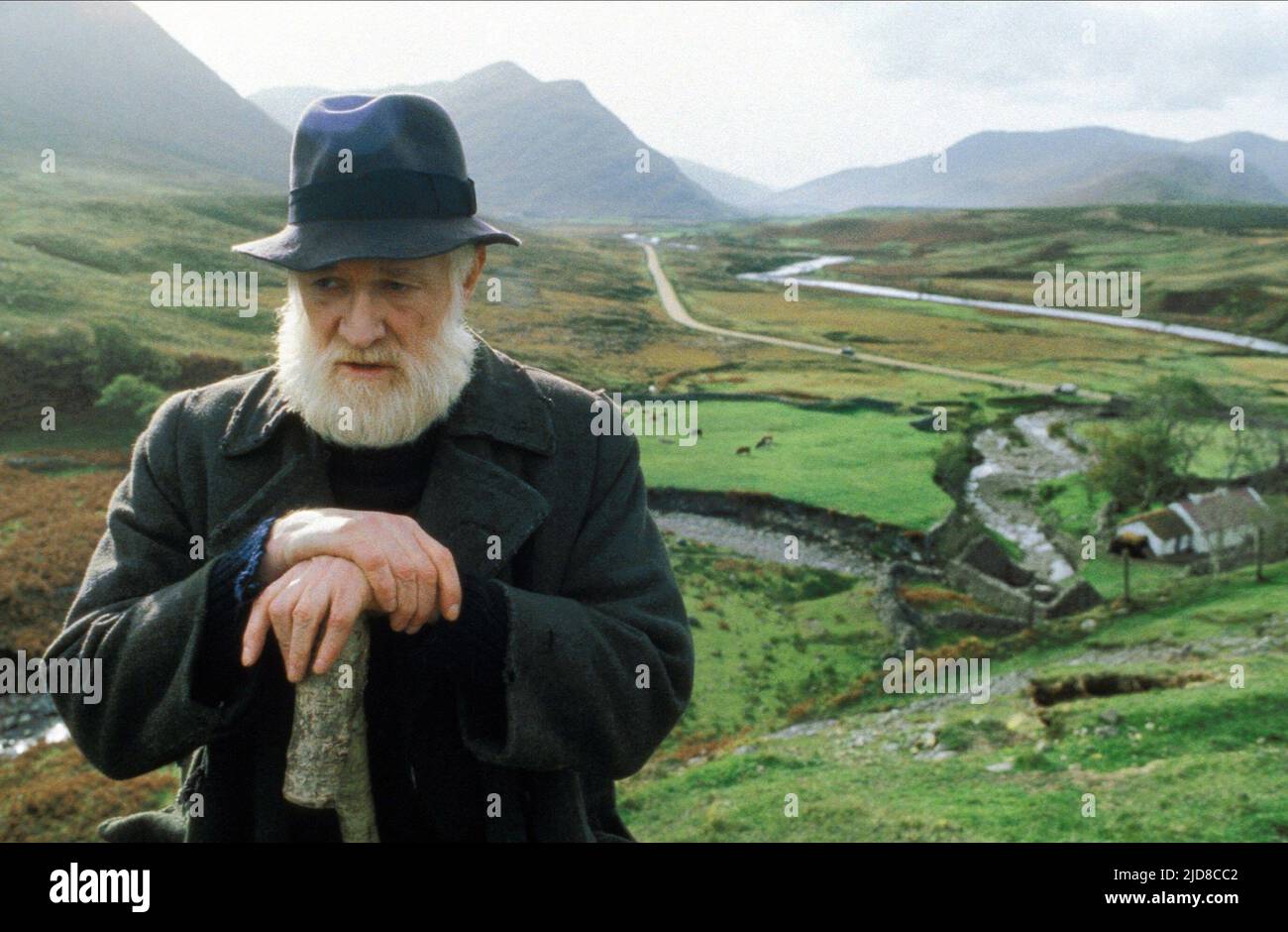 RICHARD Harris, il campo 1990 Foto Stock