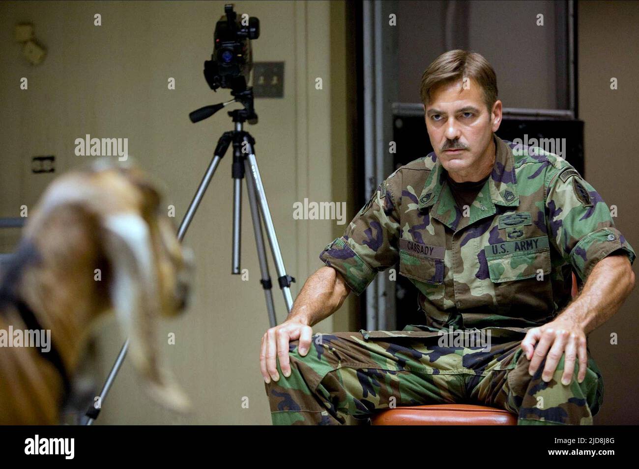 GEORGE CLOONEY, GLI UOMINI CHE STANNO A CAPRE, 2009, Foto Stock