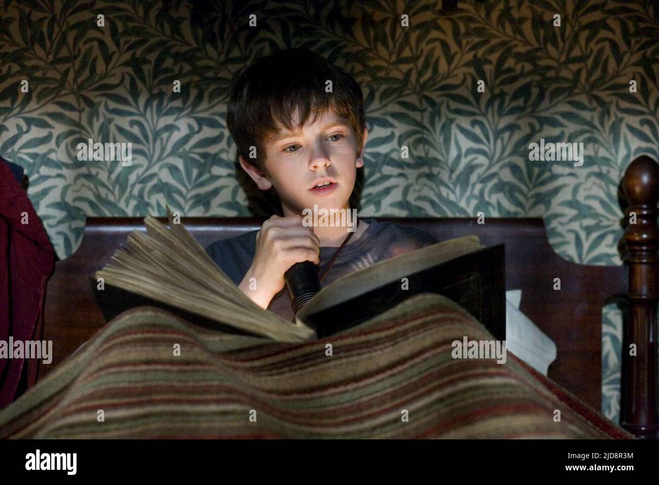 FREDDIE HIGHMORE, THE SPIDERWICK CHRONICLES, 2008, Foto Stock