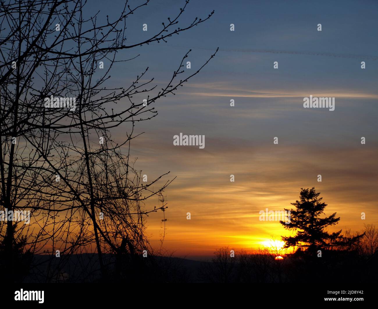 Sempre bello da catturare, un Tramonto, in un colore dorato croccante con un albero in primo piano. Foto Stock