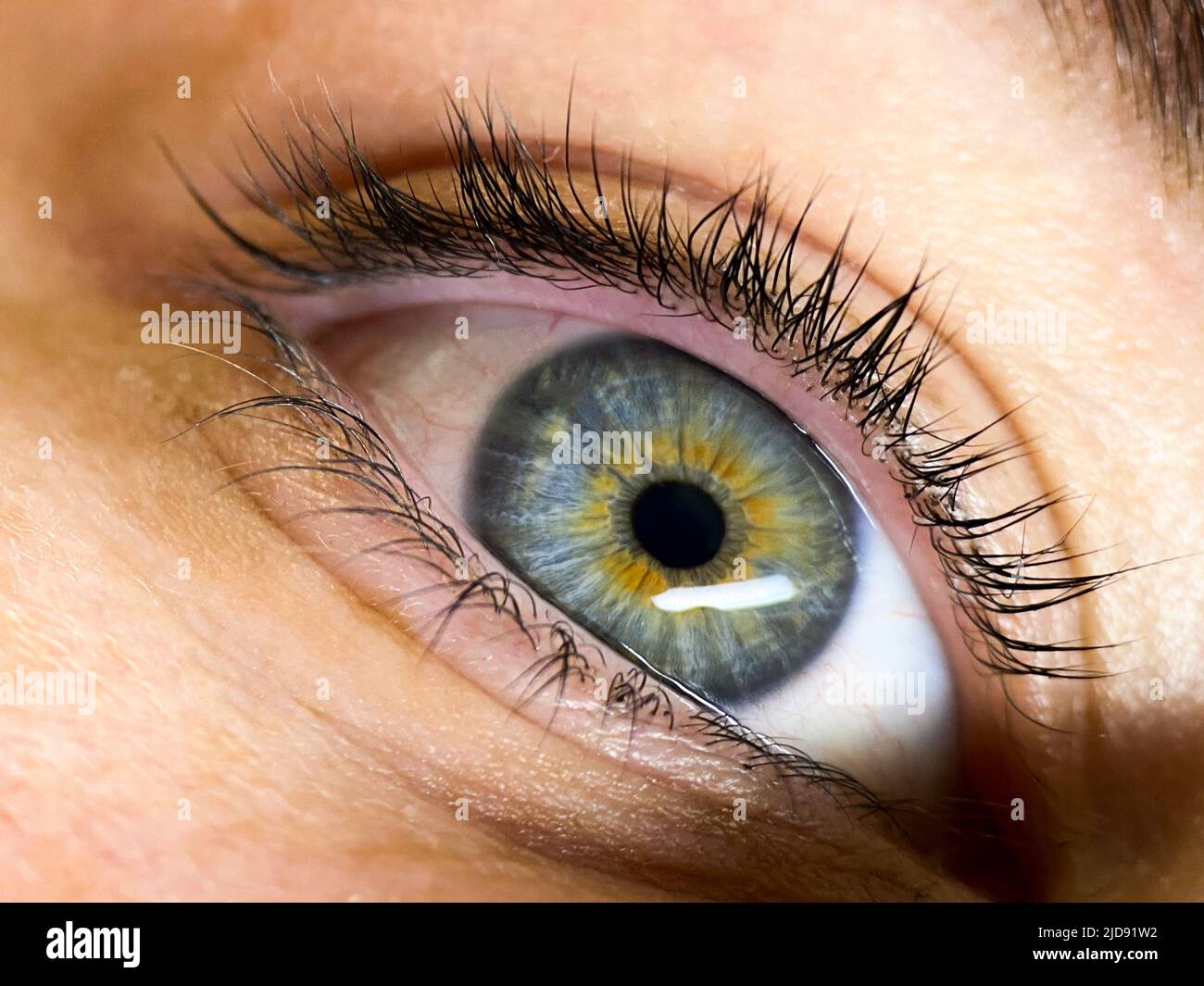 Immagine macro della pupilla dell'occhio. Primo piano degli occhi Foto Stock