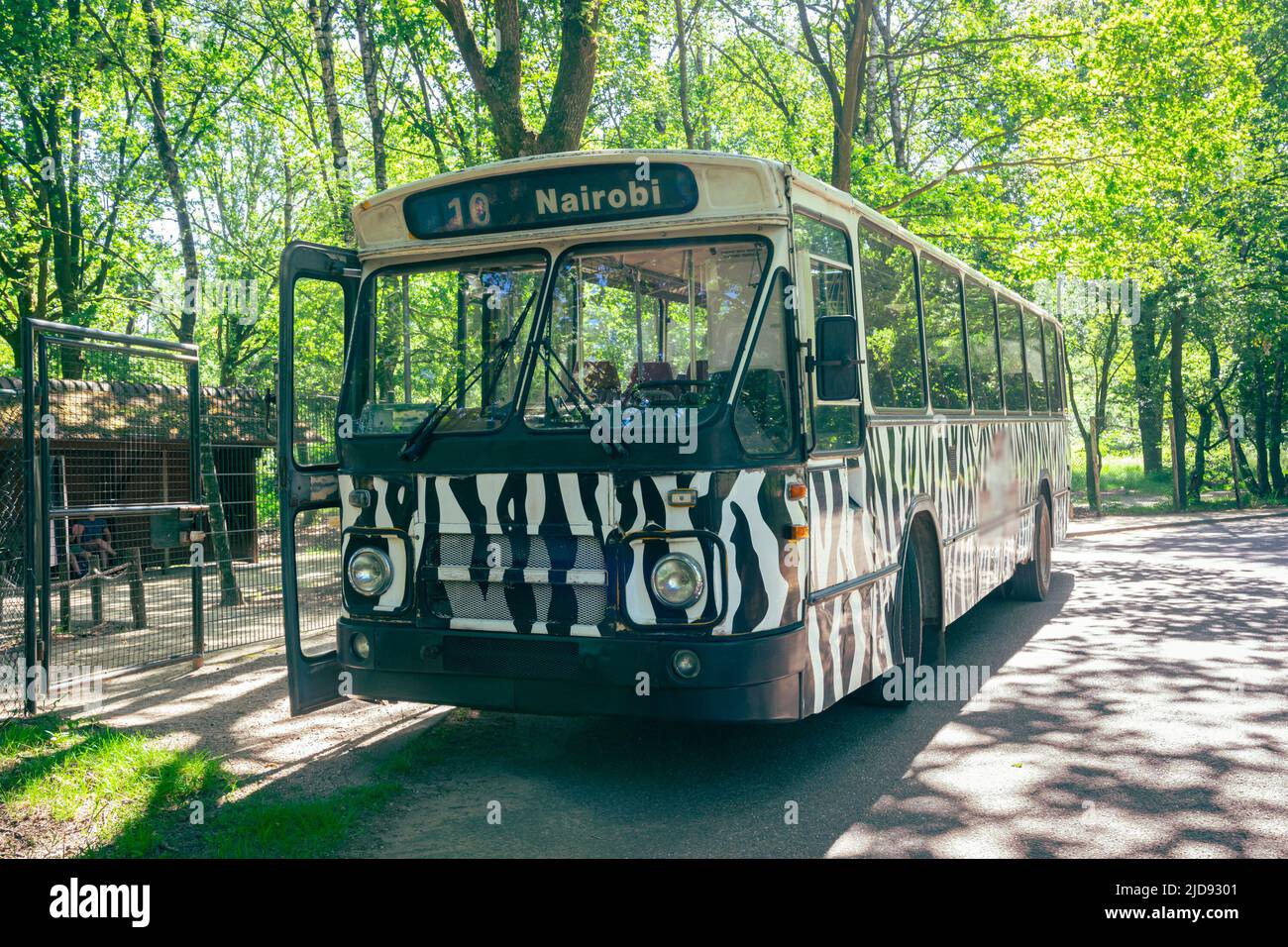 Autobus turistico con schema zebra per Nairobi, Kenya Foto Stock