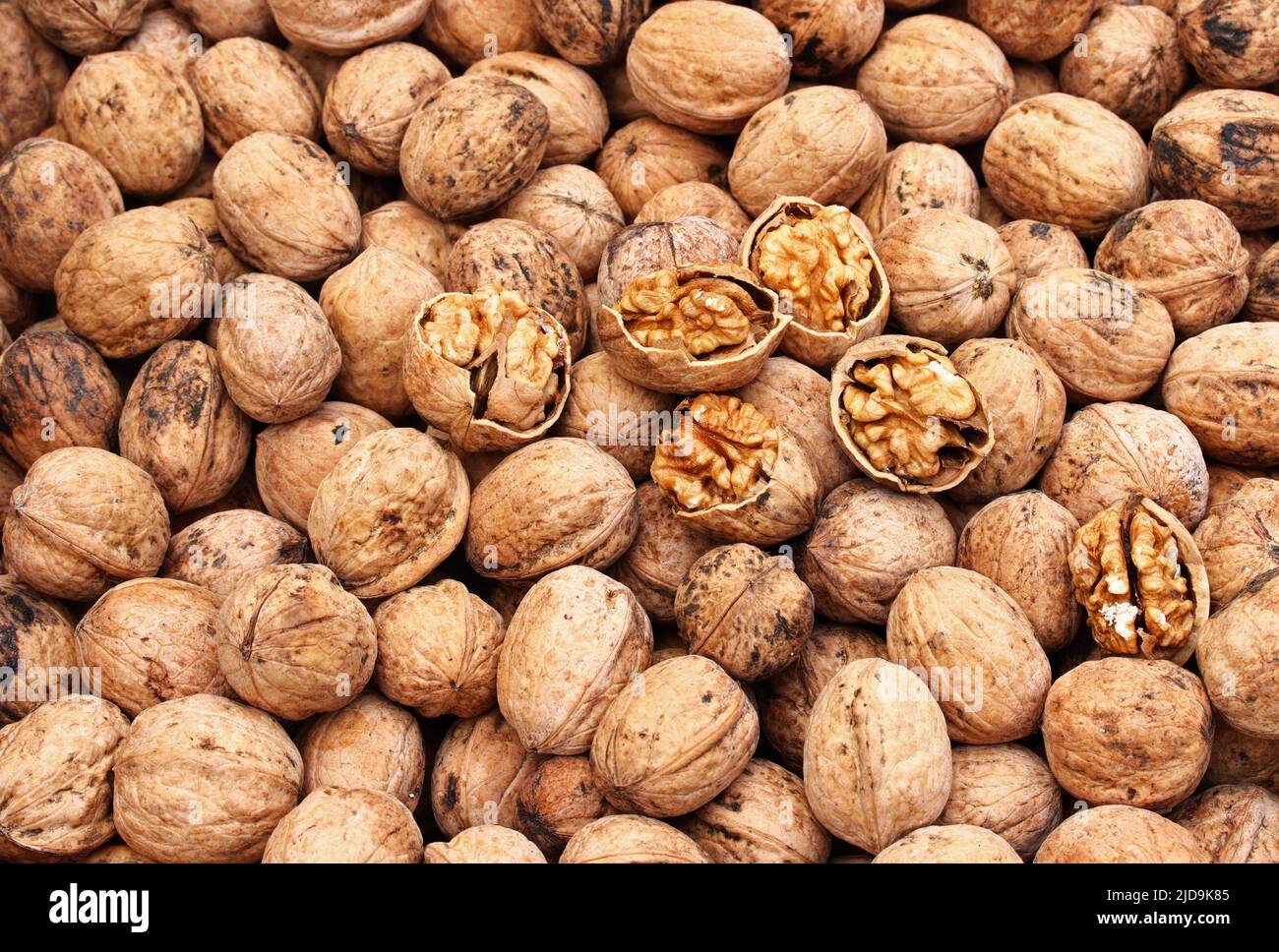 primo piano noci biologiche al mercato Foto Stock