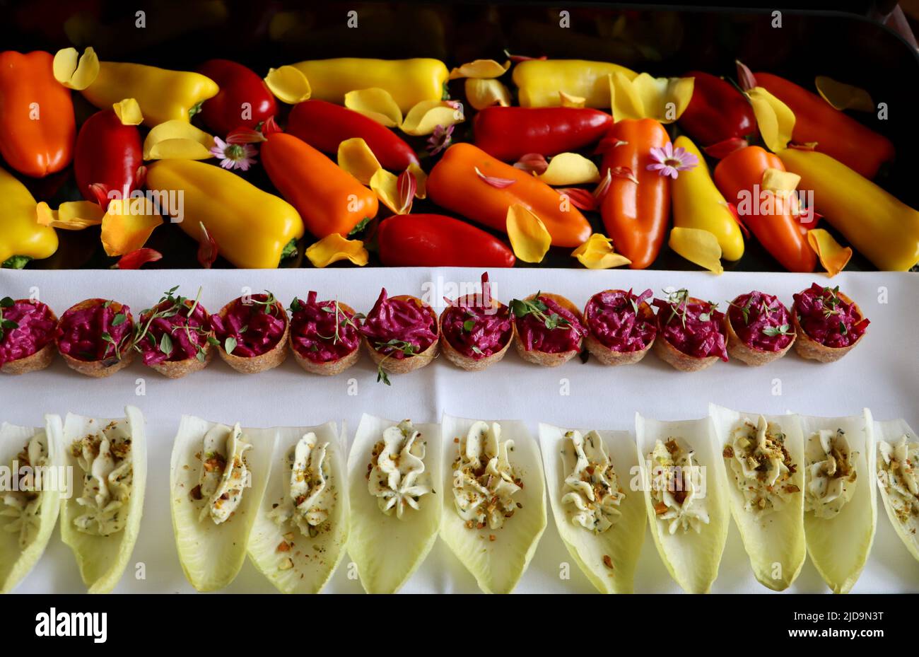 Coppe di Canapé ripieni di insalata di barbabietole rosse e indivia ripieni di mousse di formaggio su vassoio decorato con peperoni e petali di rosa. Foto Stock