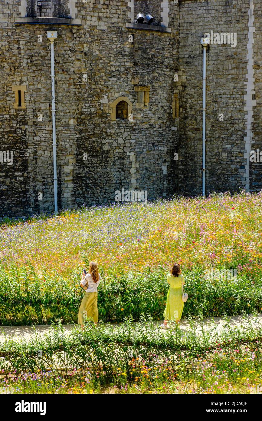 Superbloom presso la Torre di Londra; un paesaggio di fiori selvatici seminati da oltre 20 milioni di semi per celebrare il giubileo di platino della regina Elisabetta II, 2022. Foto Stock