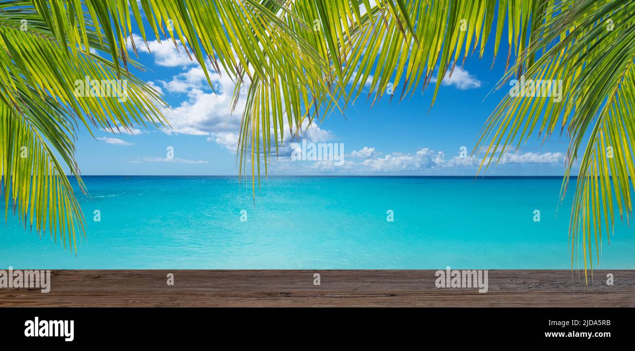Tropicale estate prodotto mockup sfondo con rami di palma. Foto Stock