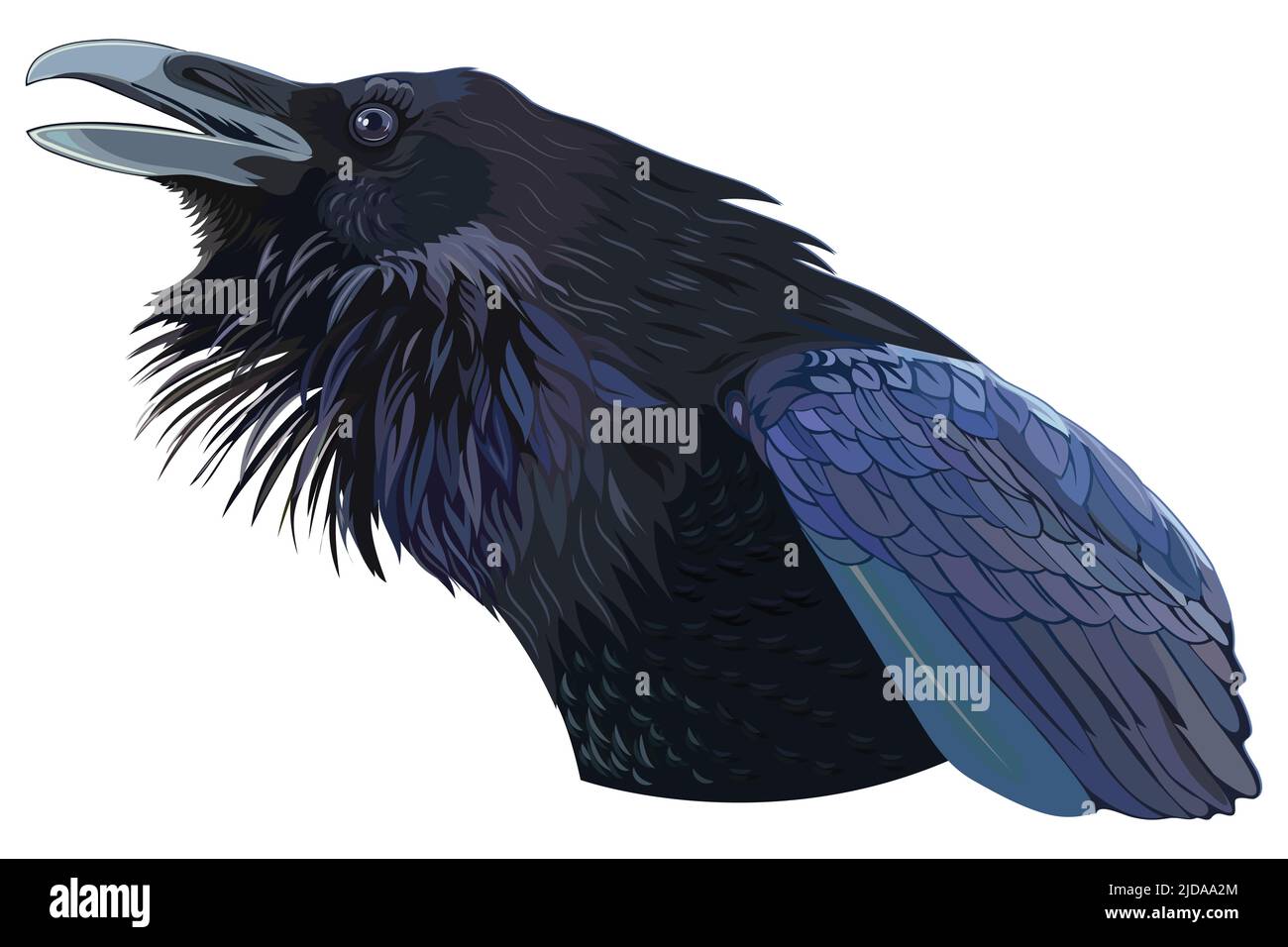 CAWing corvo nero Illustrazione Vettoriale