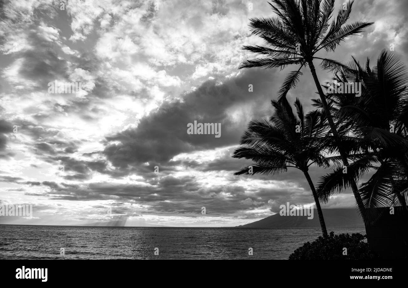 Spiaggia sull'isola di Maui, Aloha Hawaii. Foto Stock