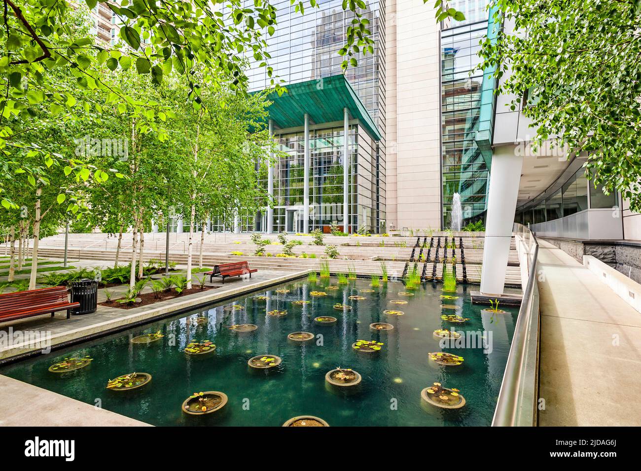Una piazza della città di Seattle, una piazza con alberi e piscina d'acqua con piante. Foto Stock