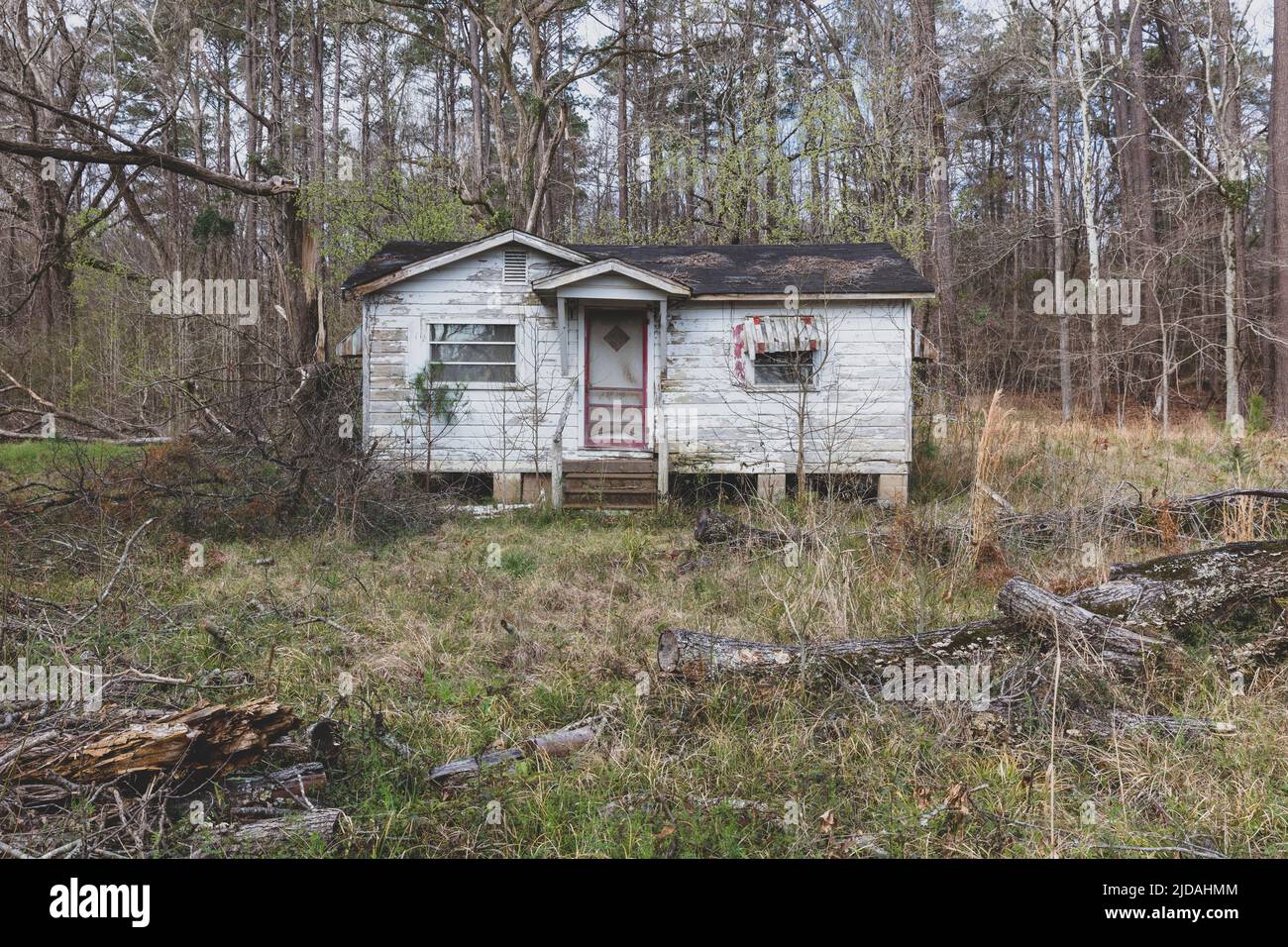 Una casa rurale o una piccola casa abbandonata e sbriciolante, coltivata con piante e arbusti. Foto Stock