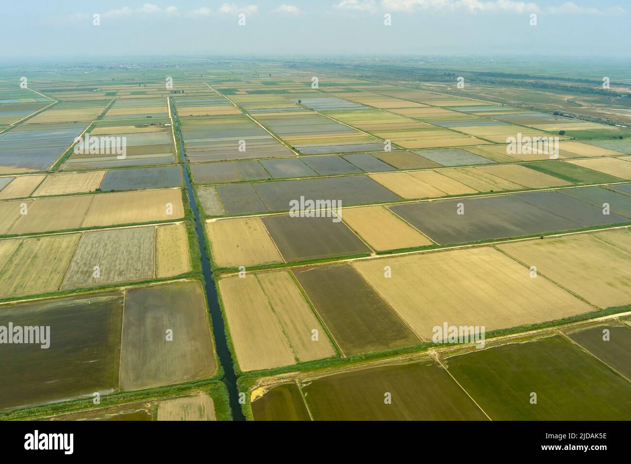 Vista aerea del campo di riso a Xalastra, Grecia Foto Stock