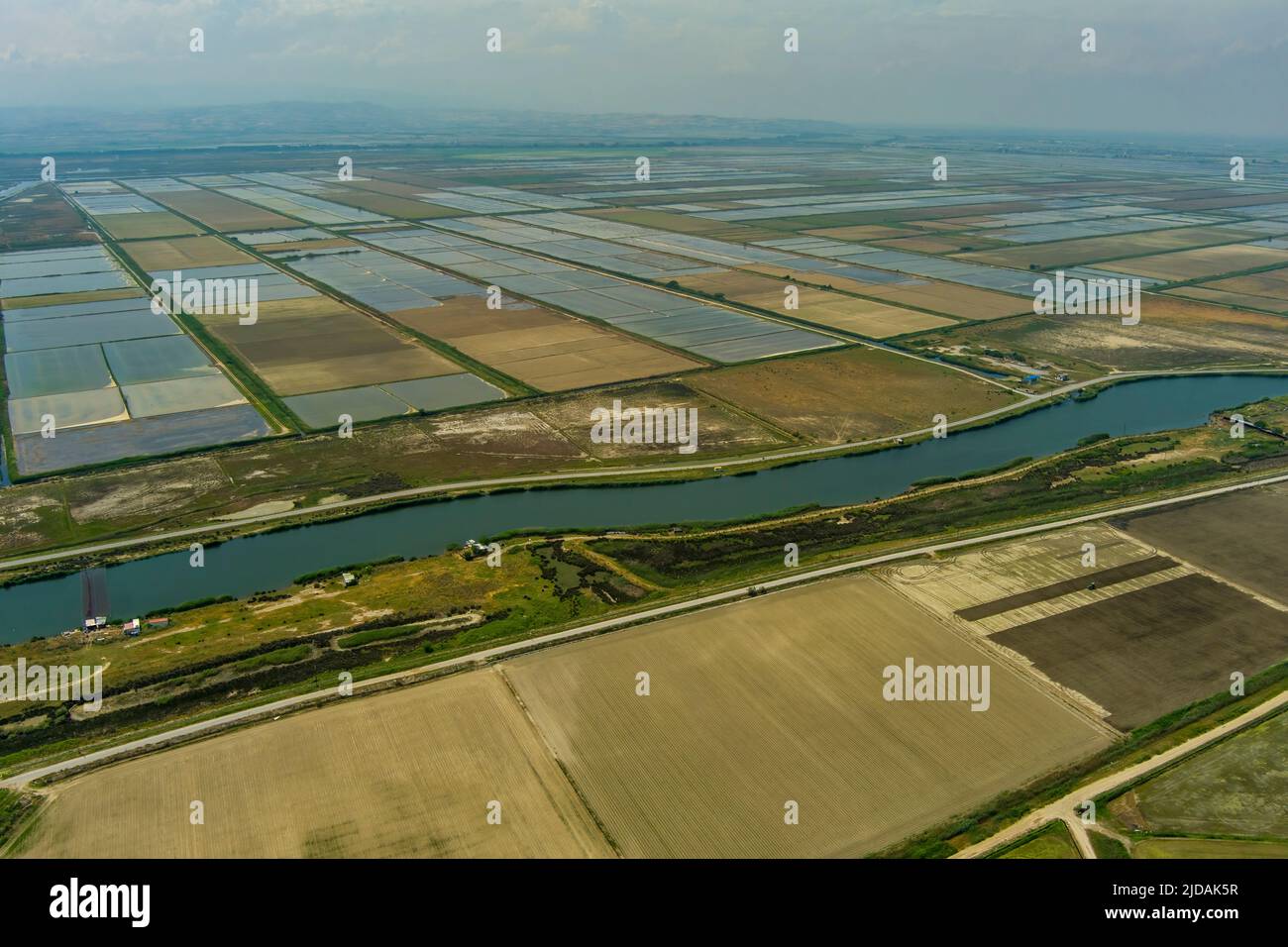 Vista aerea del campo di riso a Xalastra, Grecia Foto Stock