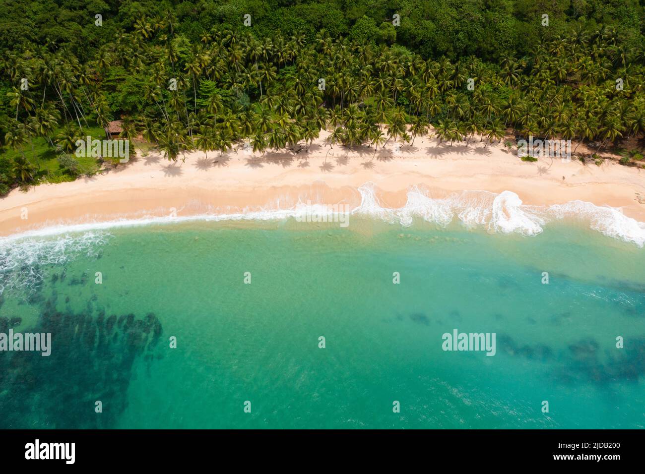 Bella spiaggia di sabbia con palme e surf con onde. Silent Beach, Sri Lanka. Foto Stock